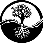 tree of life Paradign Shift