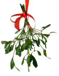 Santa Christmas-Mistletoe